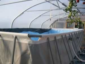 материалы : Как сделать крытый бассейн на даче своими руками +Фото: Пошагово, размеры- Обзор +Видео