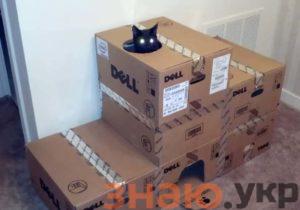 знаю Как сделать домик для кошки из коробки своими руками: чертежи, размеры и инструкция поэтапно- Обзор +Видео