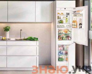 знаю Рейтинг лучших встраиваемых холодильников + фото и описание: Обзор +Видео