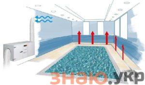 знаю Осушители воздуха для бассейнов: настенные, канальные, напольные, обзор производителей +Фото и Видео