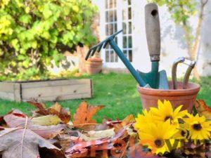 знаю Осенние работы в саду и на даче: что нужно успеть, и почему это время года лучше лета- Обзор +Видео
