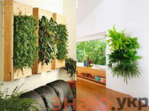 знаю Как комнатные растения могут украсить интерьер: рекомендации флористов +Фото и Видео