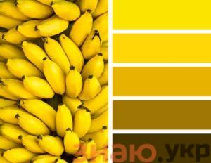 знаю Какие цвета смешать, чтобы получить желтый – правила сочетание цветов