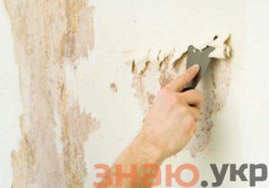 знаю Поготовка стен под жидкие обои: Пошаговая инструкция +Видео Как подготовить стены +Фото